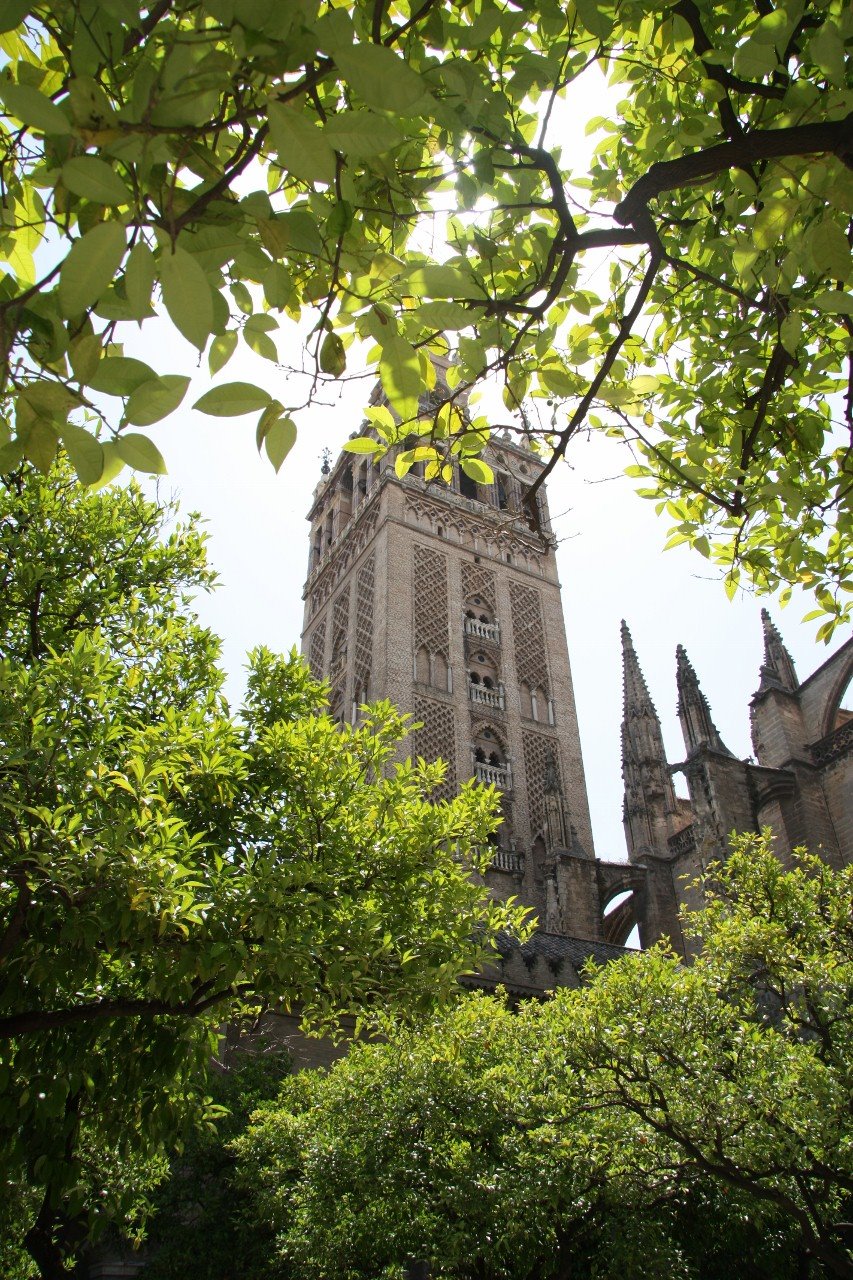 [Seville,+Spain+044+(853x1280).jpg]