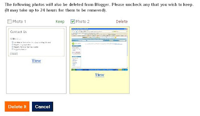 options available when deleting New Blogger post wih photos