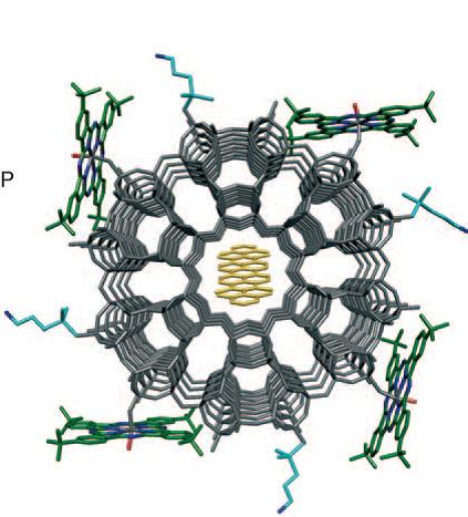 [nanocristal.jpg]