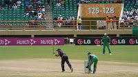 kiwis at bat