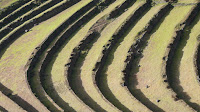 inca terraces