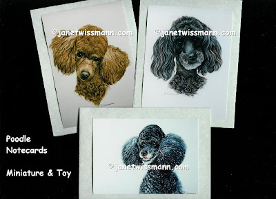 Miniature+toy+dog+breeds+photos