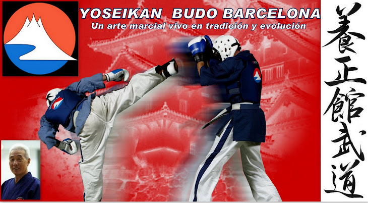 YOSEIKAN BUDO BARCELONA