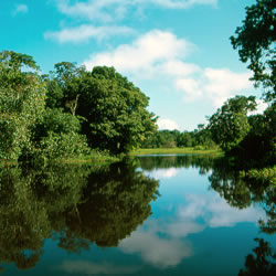 [CANO_RIO_AMAZONAS_GERMAN_MONTES.jpg]
