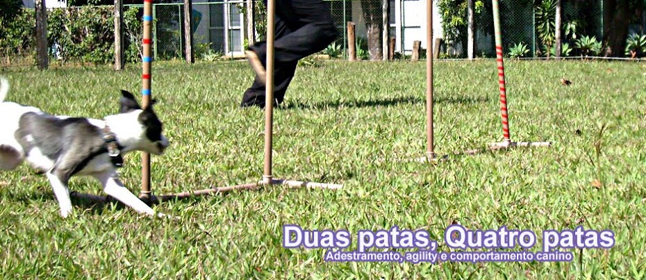 Duas patas, Quatro Patas - Adestramento, Agility e Comportamento Canino