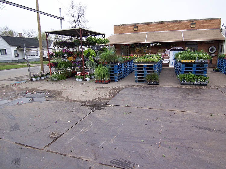 Springfield Photos Humphrey's Market the flowers are in !!! (new