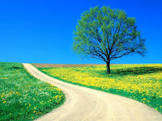 http://4.bp.blogspot.com/_sGtf1-L3OY0/TMIu5napGhI/AAAAAAAABDA/HckxWI87PE8/s1600/estrada_primavera.jpg