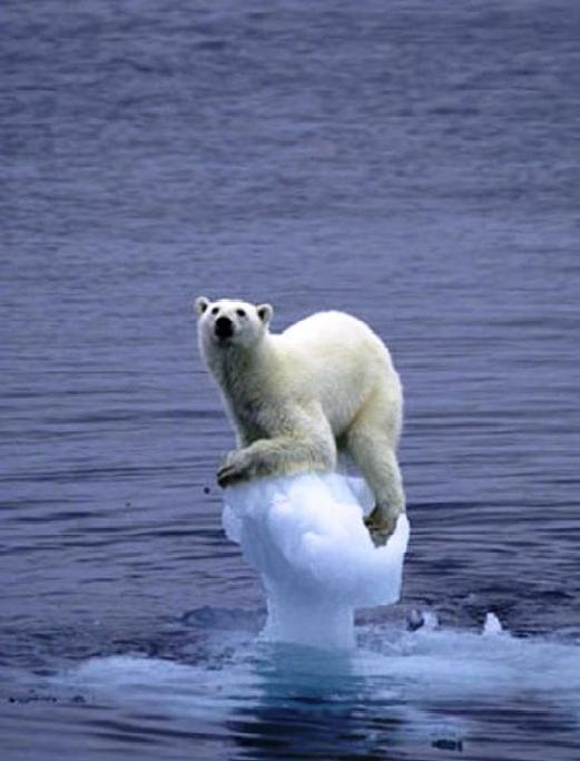 [Global+warming]
