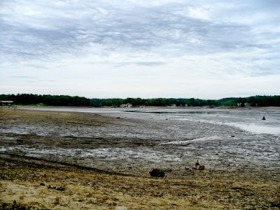 Lake Delton disappeared