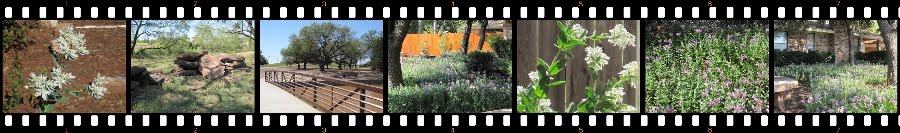 Multimedia - Raster Images