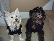 My Furry Kids