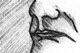 kinetoon