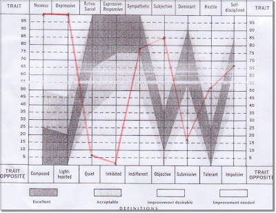 Taylor Johnson Temperament Analysis - Free Download