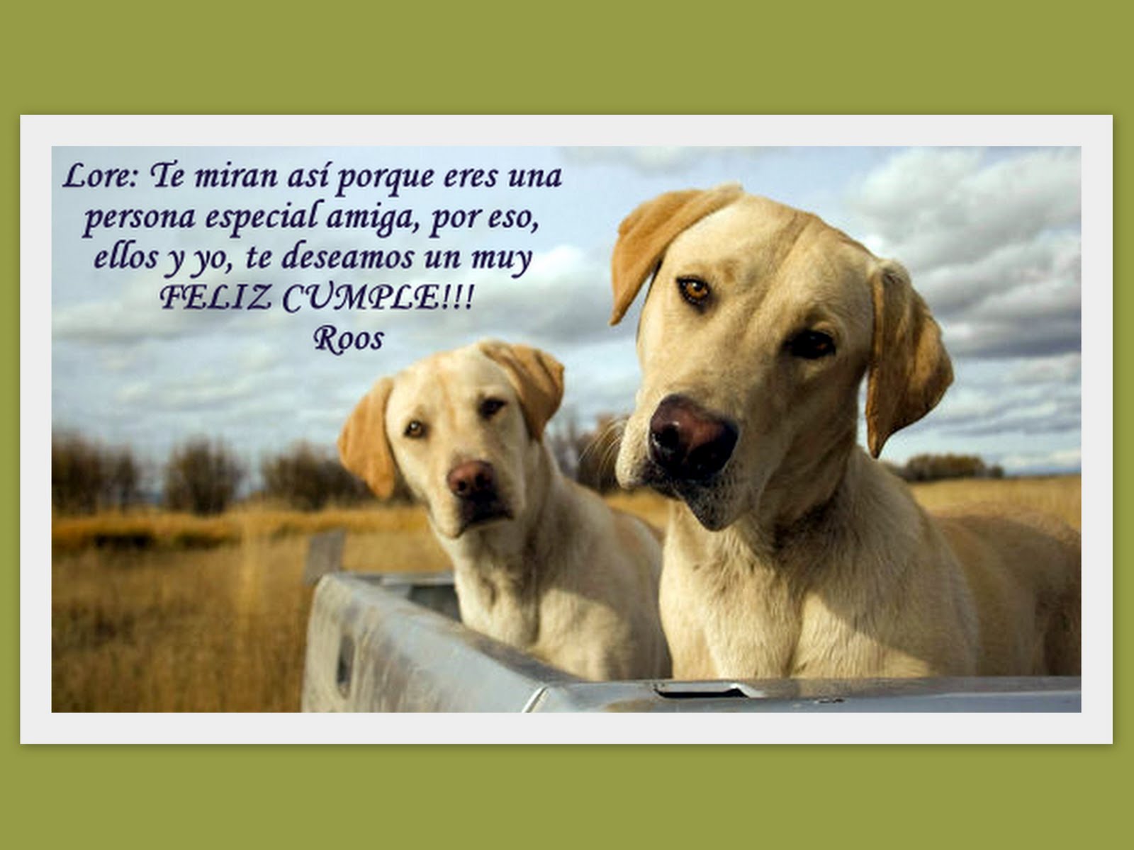 No tomes decisiones (FOTO) - Imagenes con Frases - De Moda En ...