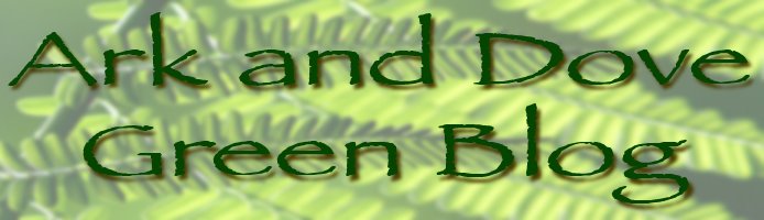 Ark & Dove - Green Blog