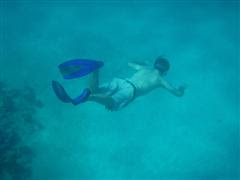 Snorkeling in Negril, Jamaica