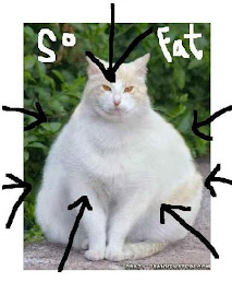 Cat so Fat