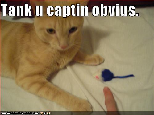 Ever since funny cat quotes. Ever since