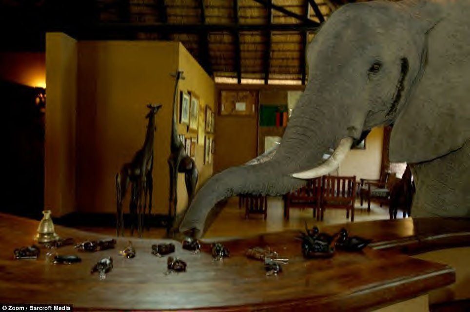[elephant++5+.bmp]