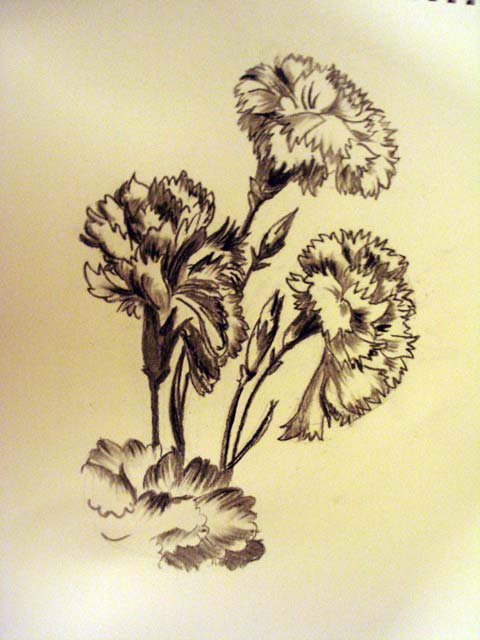 La Escuela de Arte: Dibujos antiguos