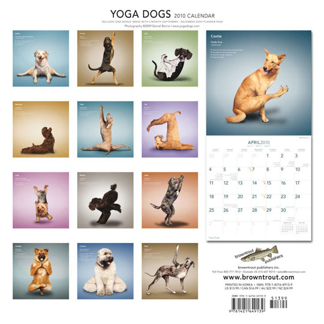 Yoga de cachorros Yoga de cachorros