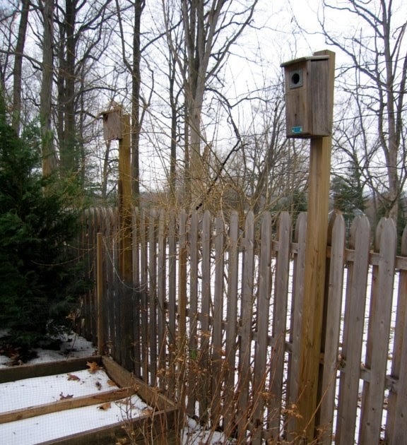 ELECTRIC FENCE DEER PROOF ELECTRIC FENCE DESIGN