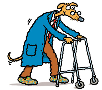 [dog_old.jpg]