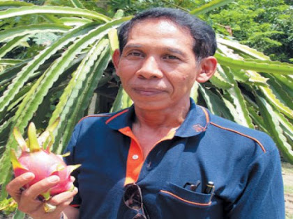 'แก้วมังกร' ผลผลิตทำเงิน กับคุณ สวัสดิ์ ขุนสวัสดิ์ 'แก้วมังกร' ผลผลิตทำเงิน กับคุณ สวัสดิ์ ขุนสวัสดิ์, รักอาชีพ, อาชีพเสริม, รายได้เสริม