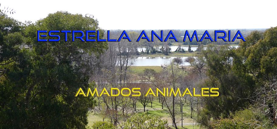 ESTRELLA ANA MARIA - AMADOS ANIMALES