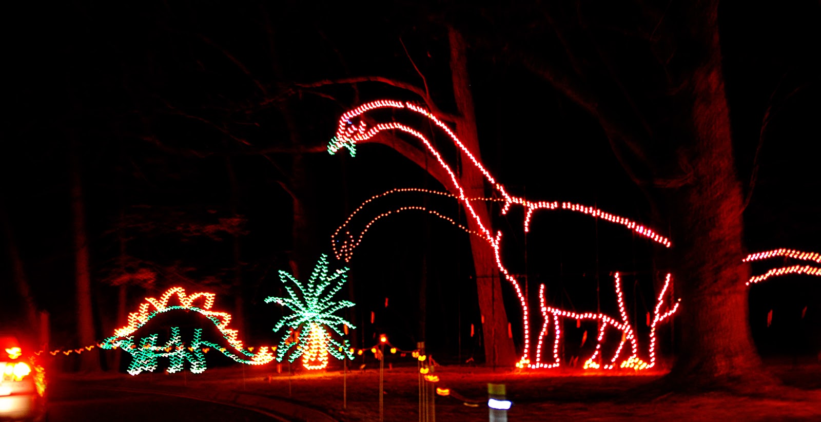 my atheist aunt and uncles christmas lights rebrn com my atheist aunt and uncles christmas lights rebrn com