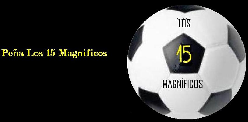 Los 15 Magníficos
