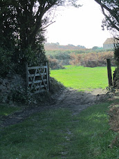 A gate with a view