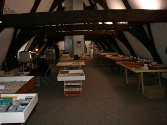 [2009013005.jpg]
