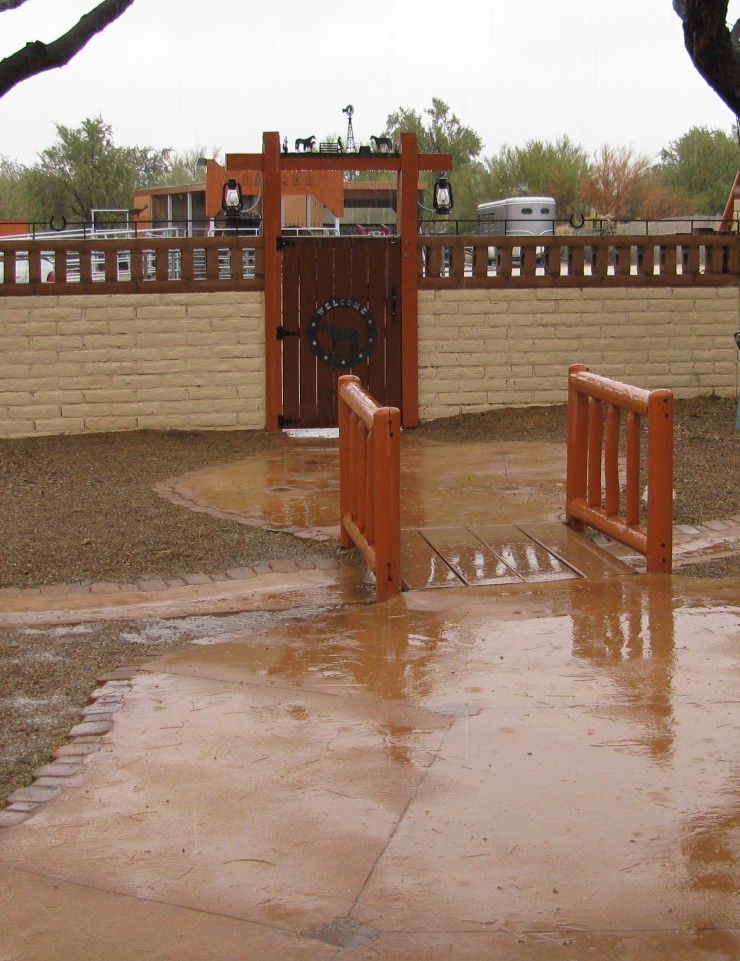 [Rain+in+Feb+045.JPG]