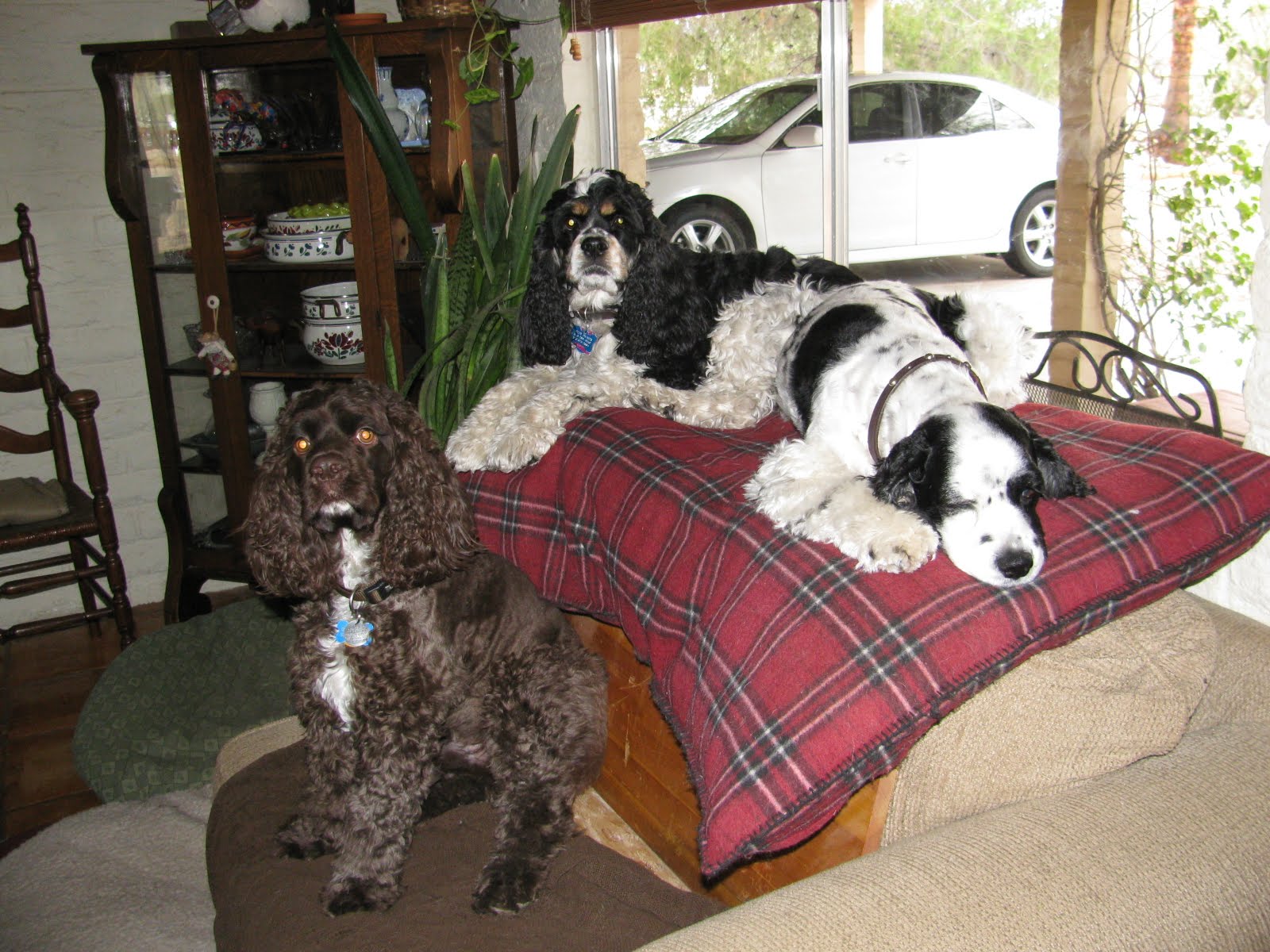 [Rain+in+Feb+004.JPG]