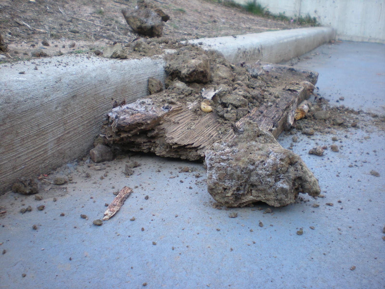 [DSCN4712.JPG]