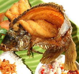 ikan gurami terbang resep pictures