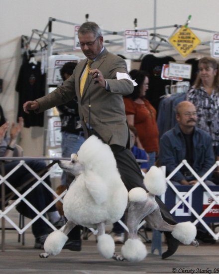 Brighton Lakeridge Encore