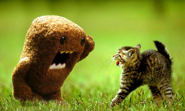 Domo+wallpaper+iphone