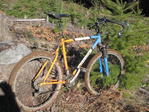 gander mountain bikes