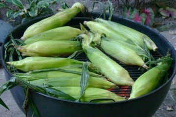 [n586756054_529852_8904.jpg]