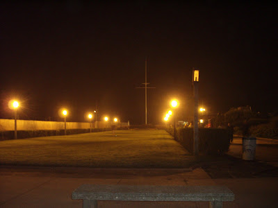 Grassy knoll in front of Jones Beach water tower.