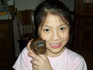 Normal+kitten+poop
