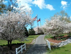 Cart Path in the Spring