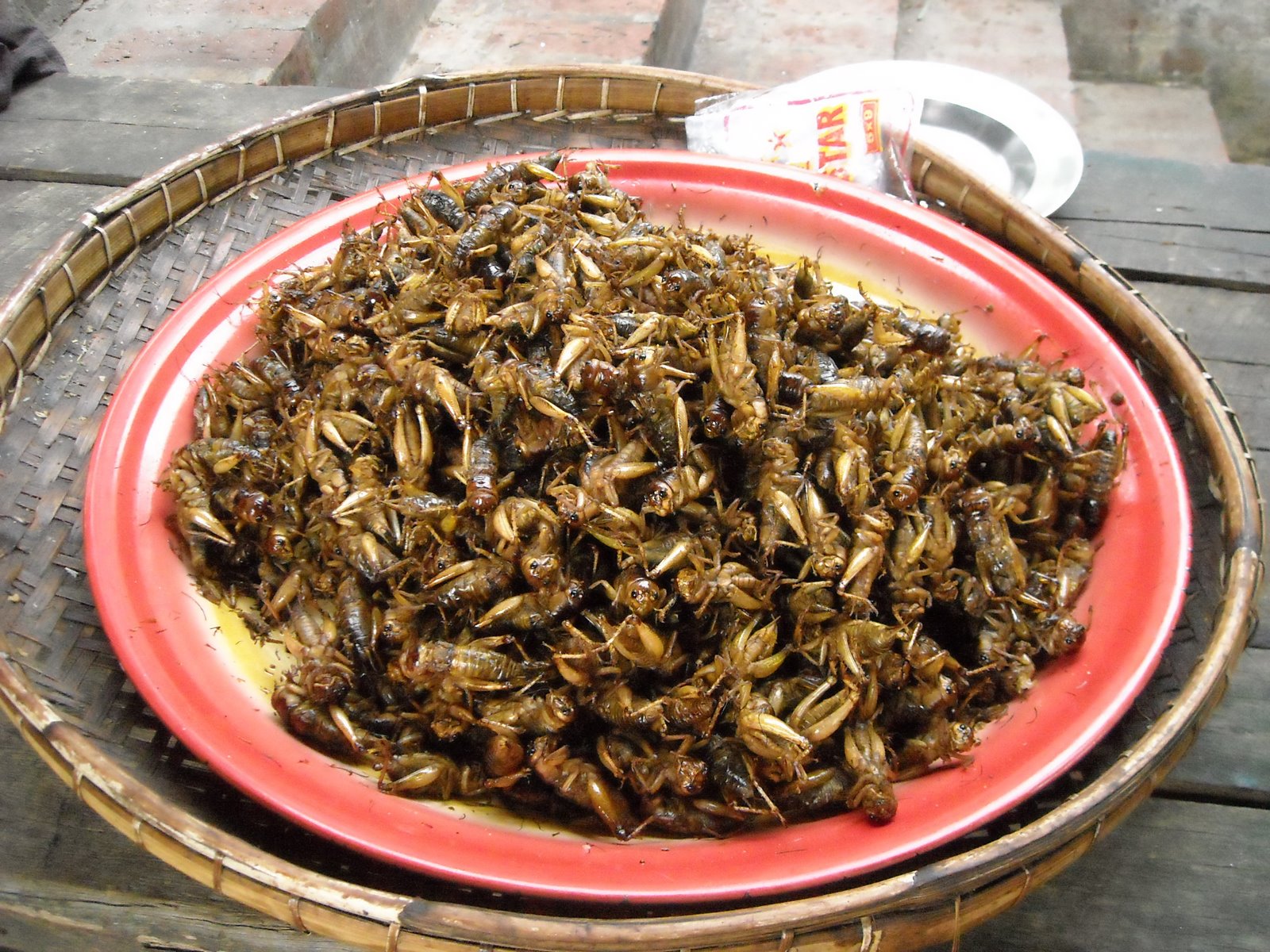 Fried Grasshopper