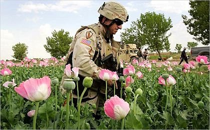 [afghan-opium.jpg]