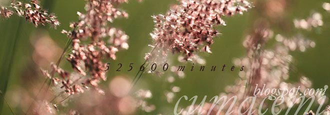 [ 525600 minutes ]