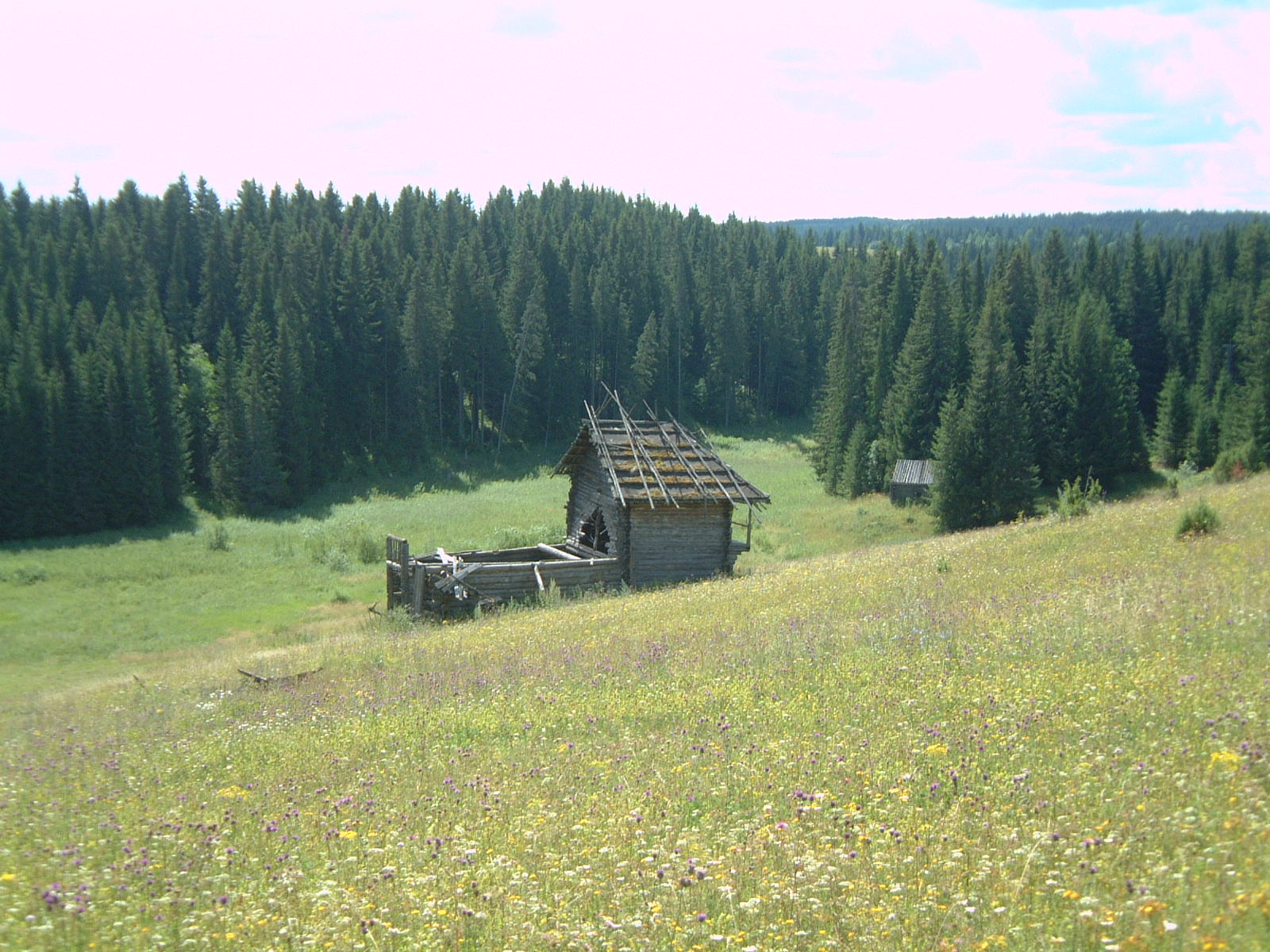 [DSCF7336.JPG]