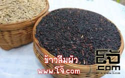 ข้าวลืมผัว http://www.xn--82c9iwa.com WWW.โจ้.COM