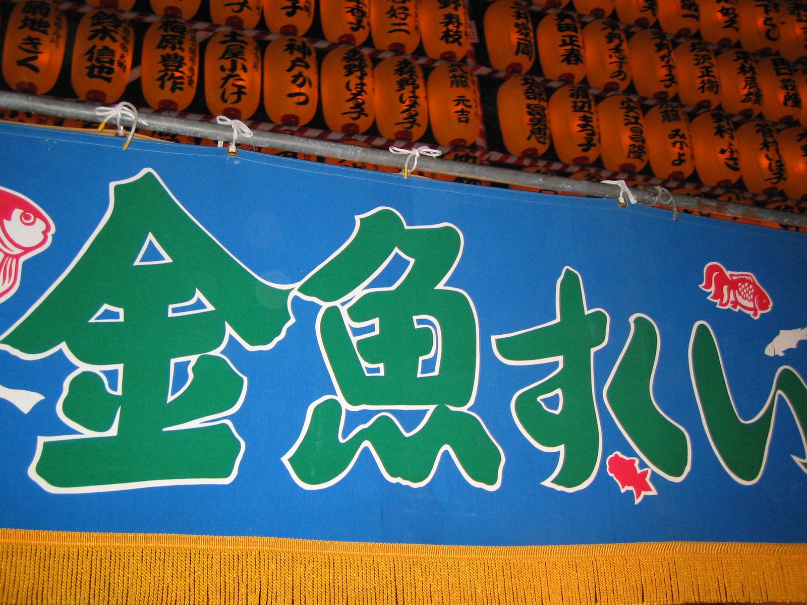 [IMG_0787.JPG]